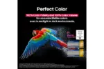 ⁦شاشة LG OLED AI B5 الذكي مقاس 55 بوصة , موديل OLED55B56LA.AFU⁩ - الصورة ⁦14⁩