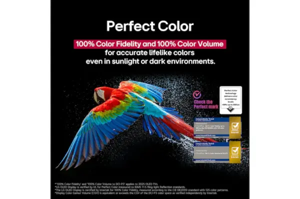 ⁦شاشة LG OLED AI B5 الذكي مقاس 55 بوصة , موديل OLED55B56LA.AFU⁩ - الصورة ⁦14⁩